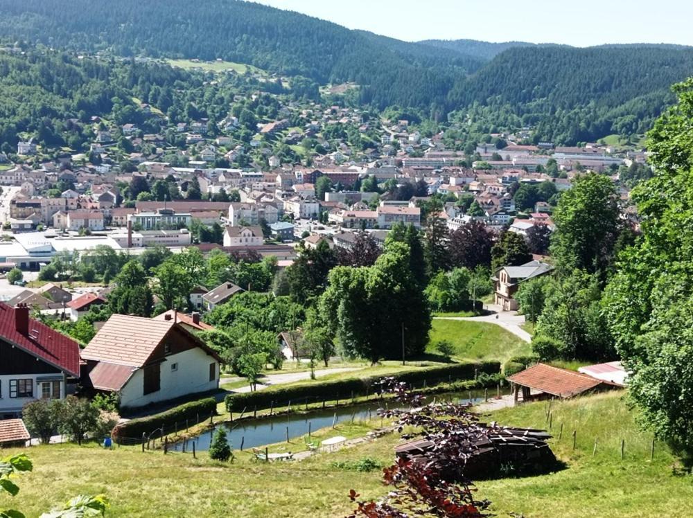 Chalet De Standing 14 Personnes Gérardmer Buitenkant foto